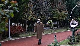 Sarının ve yeşilin her tonu Atatürk Botanik Bahçesi'nde