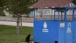 Selçuklu'da sokak hayvanları unutulmuyor