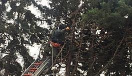 Silivri'de ağaç budamaya çıkan işçi elektrik akımına kapıldı