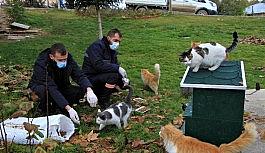 Sokağa çıkma kısıtlamasında sokak hayvanları unutulmadı