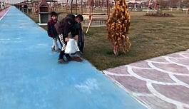 Sokak hayvanlarını besleyen çocuklar yürek ısıttı