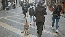 Sokakta görenler dönüp bir daha baktı