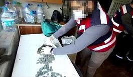 Tarihi sikkeleri satamadan jandarmaya yakalandı