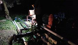 Tarla fareleri yine iş başında