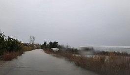 TARSİM: "Ülkemiz için üreten ve alın teri döken üreticimizin daima yanındayız"