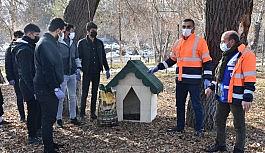 Tatvan Belediyesinden sokak hayvanlarına kulübe