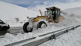 Van'da kardan dolayı kapanan yollar açılıyor