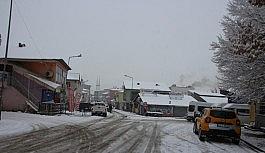 Varto'da kar yağışı