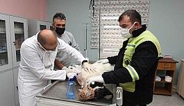 Yaralı köpeğe sevgi dolu bakım