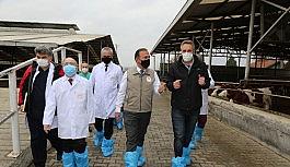 Yenişehirli firmaya hastalıklardan ârî işletme belgesi