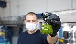 'Yeşil altın' olarak biliniyor, litresi 250 liradan satılıyor