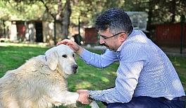 Yılmaz: "Sokak hayvanlarına sahip çıkıyoruz"