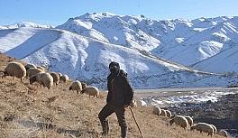 Yüksekova'daki besicilerin zorlu kış mesaisi