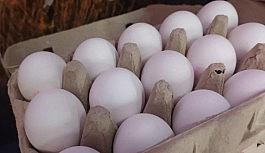 Yumurta kırmızı etle yarışıyor