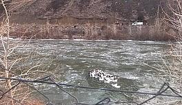 Yüzeyi donan gölde mahsur kalan kazlar için AFAD ekipleri seferber oldu