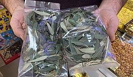 Zeytin yaprağına ilgi büyüyor
