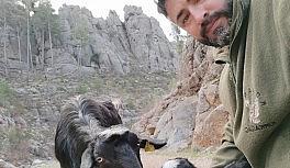 Antalya'da kayıp keçi ve yavrusu bulundu