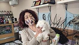 Barınağa terkedilen 'Misket' tavşan yuva arıyor