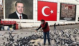 Başkan, kısıtlamada sokakta aç kalan hayvanları besledi