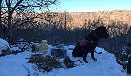 Bingöl'de el bombaları ve çeşitli mühimmatlar ele geçirildi