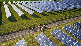 Eskinazi'den '2020' değerlendirmesi