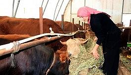 Genç çiftçi projesiyle başladı şimdi siparişlere yetişemiyor