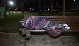 Genç kadın yeni yıla bankta uyuyarak girdi