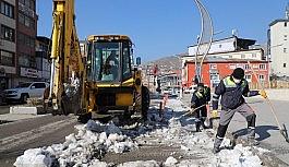 Hakkari'de buzla mücadele çalışması