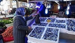 Hamsinin peşinden bu kez Gürcistan'a değil İğneada'ya gittiler