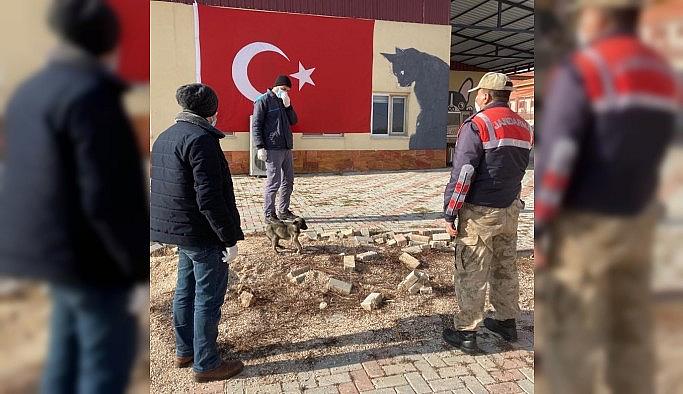 Jandarmanın fark ettiği bacağı kırık köpek tedavi altına alındı