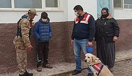 Kayıp çocuğu 6 saat sonra iz takip köpeği buldu