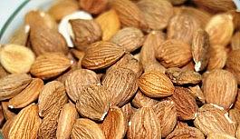 Kayısının çekirdeği da şifa deposu