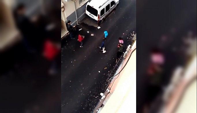 Kediler kavga etti ortada kalan çocuk ne yapacağını şaşırdı