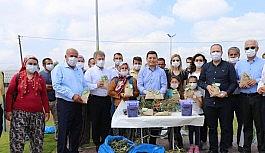 Kepez'in çevreci projesine bir ödül daha