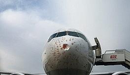 Kuş sürüsüne giren THY'nin kargo uçağı geri döndü