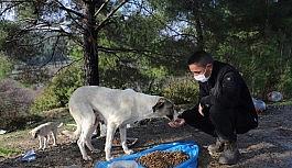 Menderes'te sokağa çıkma kısıtlamasında sokak hayvanları unutulmadı