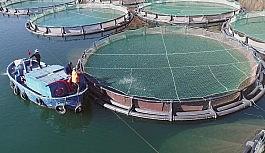 Muğla'nın Kasım ayında ihracatı yüzde 24,1 arttı