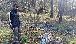 Ormanlık alanda zehirli kemikler bulundu