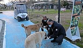 Polislerin 'Merhamet' devriyesi