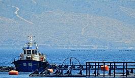 Sığacık'ta orkinos üretim çiftliğine 5. kez iptal