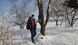 Soğuk havada kırağı kartpostallık görüntüler oluşturdu