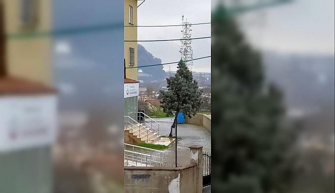 Tuzla'da fabrika bahçesinde yangın çıktı. Olay yerine çok sayıda itfaiye ekibi sevk edildi.