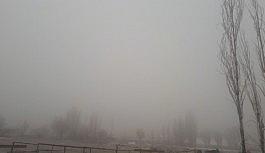 Tuzluca'da don ve sis etkili oldu