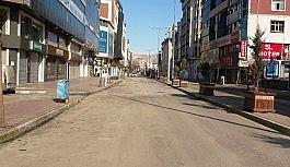 Van kısıtlamaya uyuyor