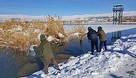Van'da yaban hayvanlarına yem desteği