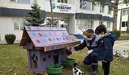 Yeşilyurt'ta sokak hayvanları için Kedi ve Köpek Evler Projesi