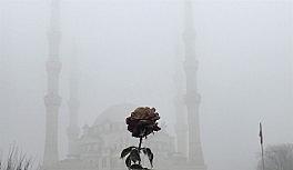 Yoğun sis kartpostallık görüntüler oluşturdu